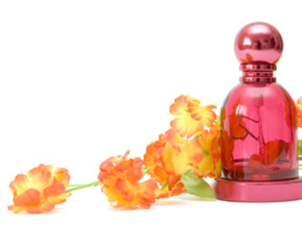 Откуда берутся феромоны?