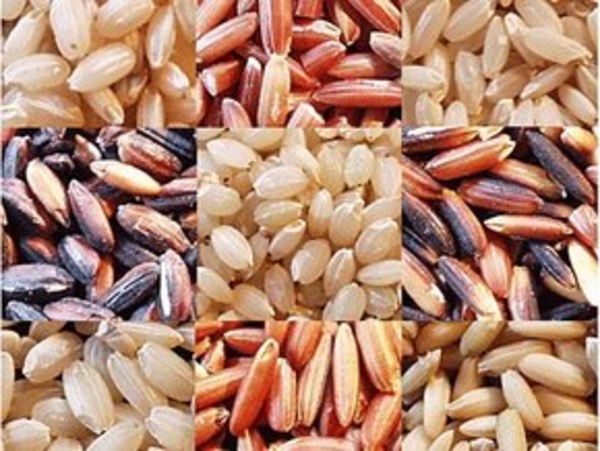 Знакомый незнакомец: рис