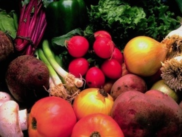 Твоя природная палитра