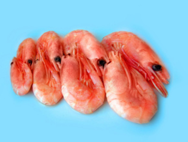 Что есть чтобы поумнеть