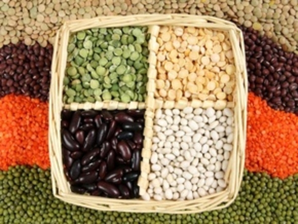 Белая фасоль поможет похудеть