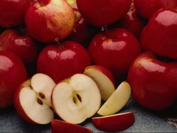 Диеты без ошибок