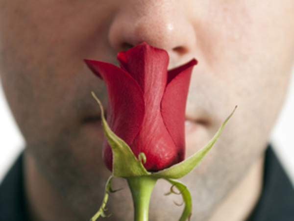 Куннилингус – оральное удовольствие для дамы