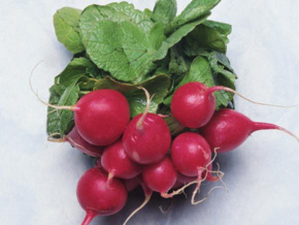 Фантазии на тему... редиски