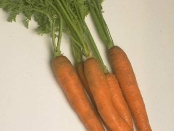 Противораковое питание