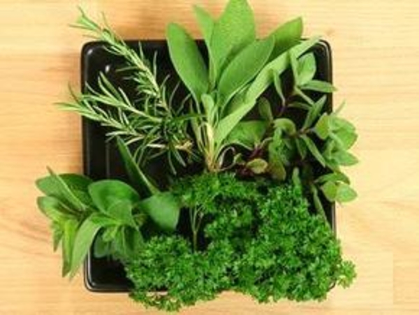 Заготавливаем зелень!