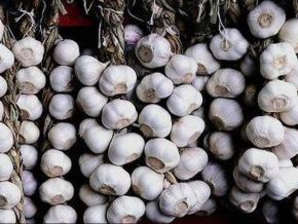 Диета с чесноком