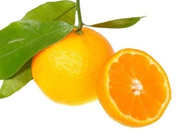 Фруктовая диета