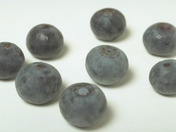 Черничная диета