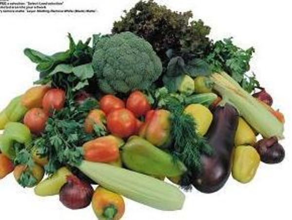 Супчик прекрасной Марлен