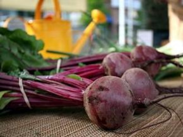Свекольные секреты