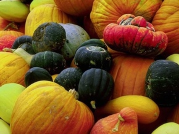 Королева-тыква