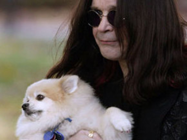 Любимую собаку Оззи Осборна съел койот