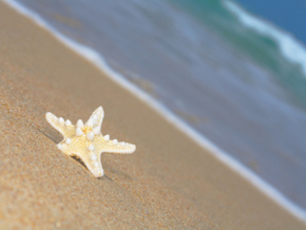 Лишний вес и отдых