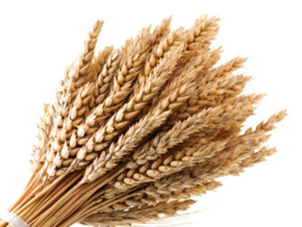 Зерновая диета