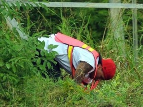 Крис Браун начал отбывать общественные работы