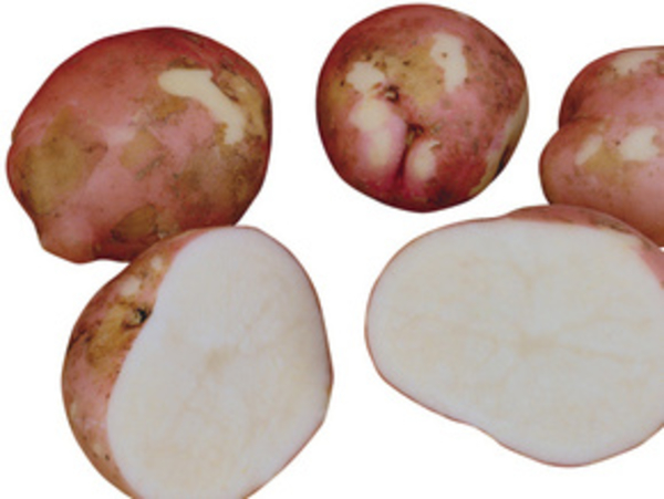 Индейская диета