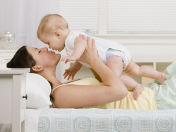 Животное в доме