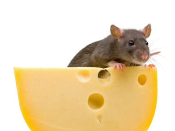 Настраиваемся на похудение: 13 принципов