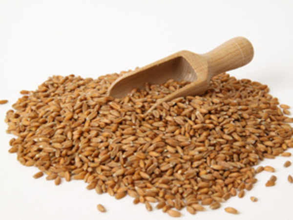 Злаки в питании