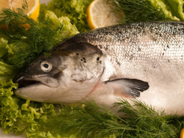 Французская диета 2