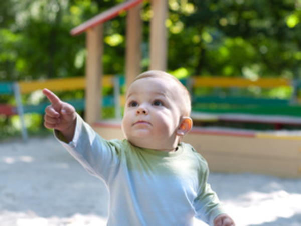 Диетические сладости