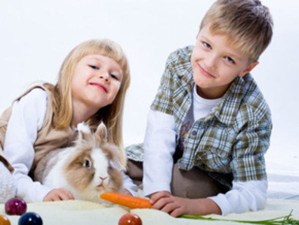 Как выбрать ребенку домашнее животное: за и против кролика