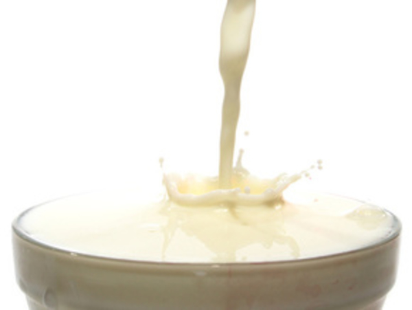 Похудеть на молоке и сыре