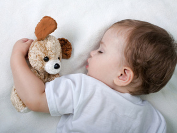 Выбираем «правильного» мишку