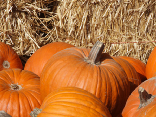 Здоровая кожа