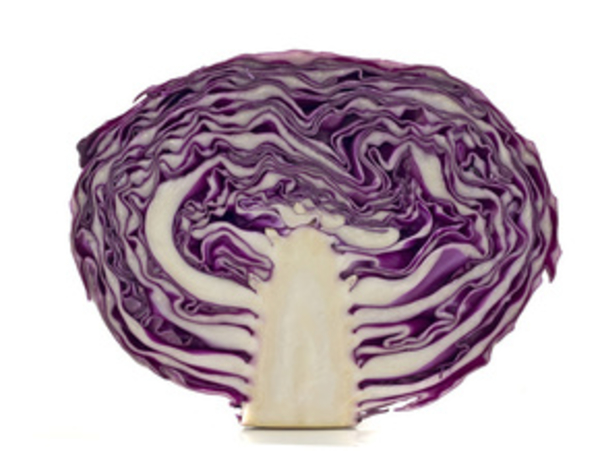 Капуста и ее преимущества