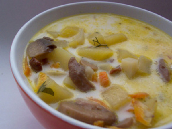 Вкусный суп из белых свежих грибов с плавленым сыром