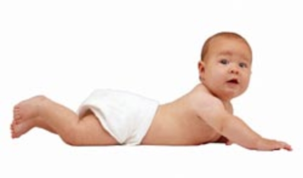 Поведение во время кормления