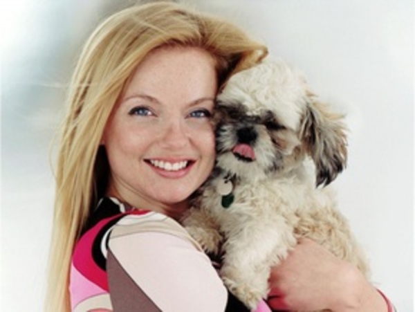 Бойфренд Джери Холлиуэлл арестован