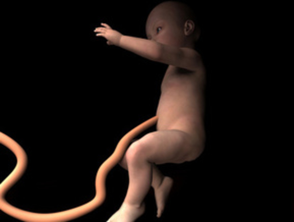 Что такое ЭКО?