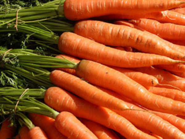 Морковь