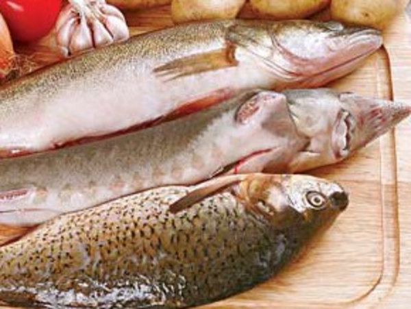 Диета при аллергии на рыбу