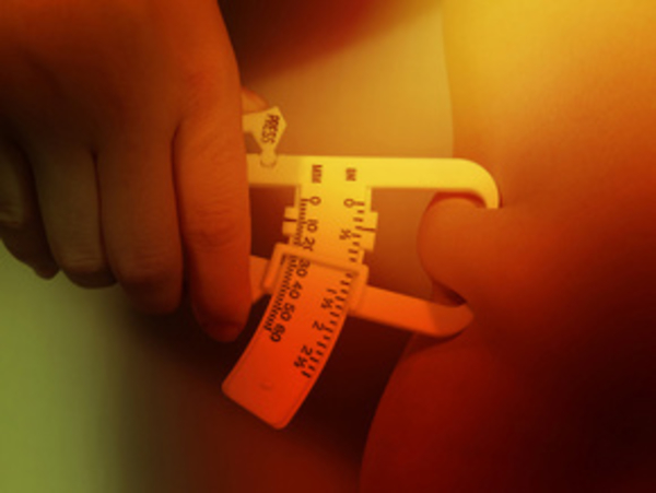 Ежедневная диета