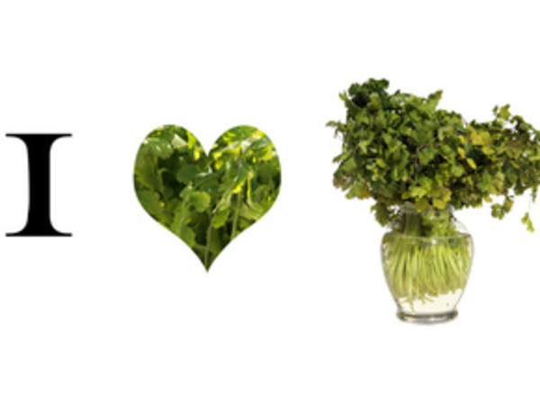 Очень полезная приправа