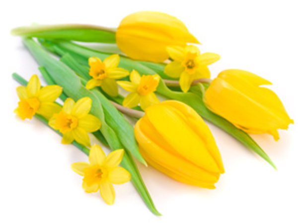 Диета к 8 марта