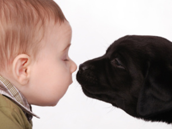 Домашние животные и ваши дети