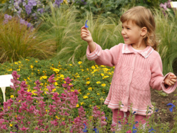 Воздух — слагаемая здоровья