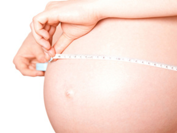 Обследование во время беременности. 2 триместр