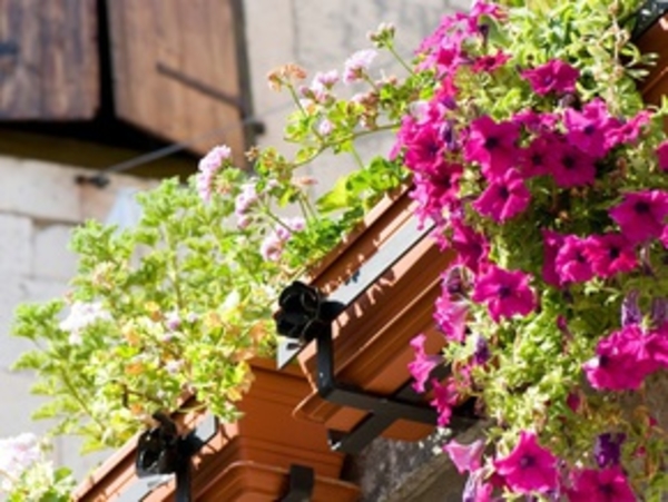Фитодизайн балкона