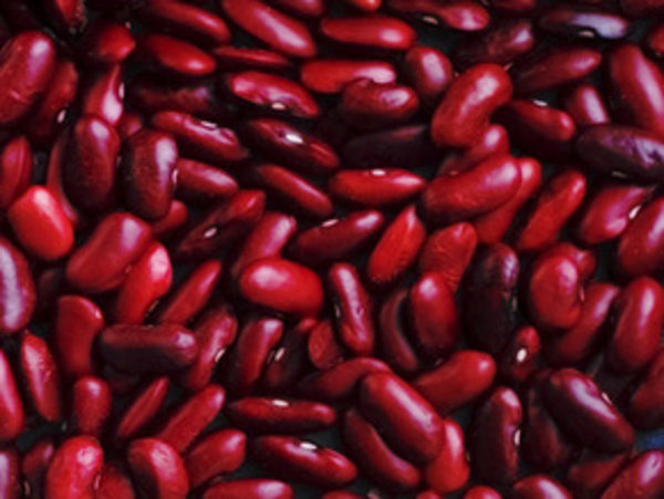 Лучшие продукты