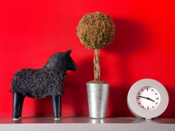 Главные правила интерьера