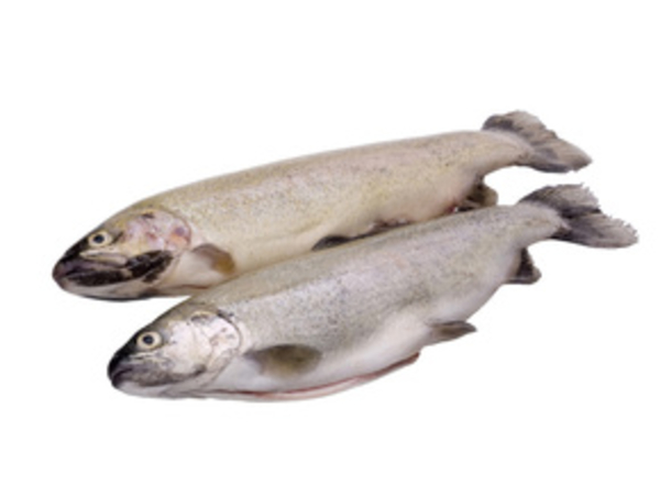 Рыба для фигуры и здоровья