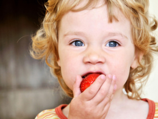 Пестициды развивают СДВГ у малышей