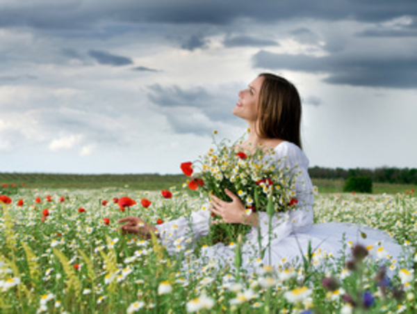 Теория 1000 шариков