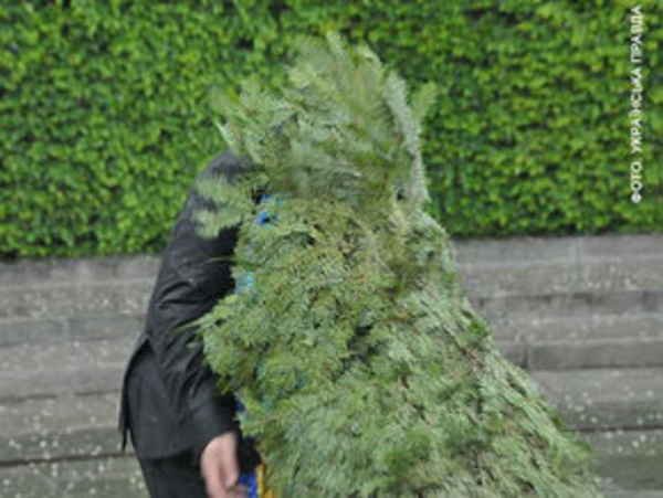 Венок, который «напал» на Виктора Януковича, продадут с молотка